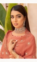 aalaya-alizeh-banarsi-viscose-2022-12