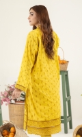 adans-libas-pret-chikankari-2023-6
