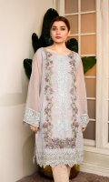 adans-libas-vital-organza-formal-kurti-2020-15