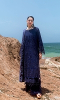 afsanah-lost-in-waves-2026-5