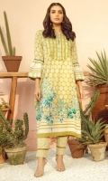al-karam-summer-2020-81 al-karam-summer-2020-81