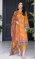colors-lawn-2024-12