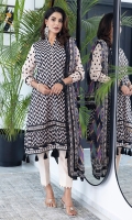 colors-lawn-2024-19