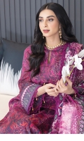 colors-lawn-2024-25