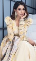 colors-lawn-2024-7