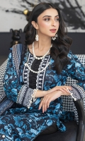 colors-lawn-2024-9