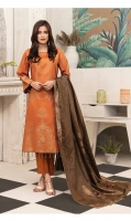 amna-sohail-viscose-broshia-banarsi-2020-5