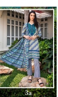 anum-lawn-by-al-zohaib-2020-12