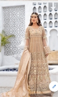 areesha-luxury-chiffon-volume-10-2021-2