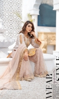 areesha-luxury-chiffon-volume-10-2021-8