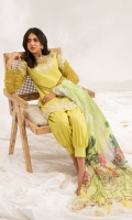 asifa-nabeel-leia-summer-lawn-2023-35