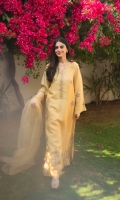 asifa-nabeel-silk-edit-pret-2026-12