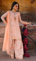 charizma-vasal-chiffon-iii-2025-6