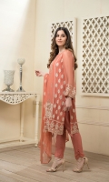 dhanak-chiffon-2020-16