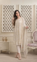 dhanak-chiffon-2020-19