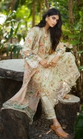 elaf-signature-lawn-2024-11