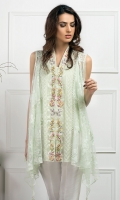 farida-hasan-luxe-pret-2024-29