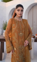 flossie-kuch-khas-chiffon-5-2024-2