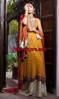 mehandi-and-mayoo-for-feb-vol-1-18