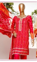 moosa-jee-izhan-printed-lawn-2020-10