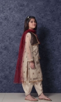 nargis-shaheen-girls-dresses-2020-14