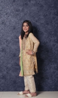 nargis-shaheen-girls-dresses-2020-18