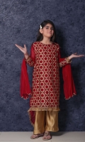 nargis-shaheen-girls-dresses-2020-3