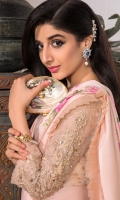 nayab-jahan-aara-saree-2023-21