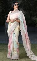 nayab-jahan-aara-saree-2023-26