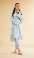 nl-eid-ii-2025-120