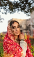 qalamkar-dilara-lawn-2021-62