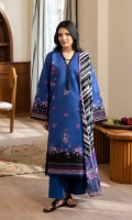 rajbari-nissa-exclusive-2026-19