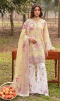 ramsha-dhanak-lawn-2026-15