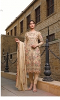 rana-arts-fancy-embroidered-chiffon-2021-10