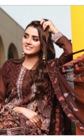 rana-arts-fancy-embroidered-chiffon-2021-19