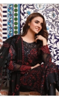 rana-arts-fancy-embroidered-chiffon-2021-3