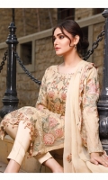 rana-arts-fancy-embroidered-chiffon-2021-9