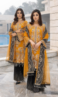 razab-aangan-chiffon-2023-22