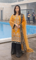 razab-aangan-chiffon-2023-23