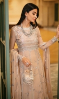 roheenaz-aafreen-chiffon-2023-25