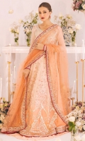 roheenaz-sawariya-chiffon-2023-25