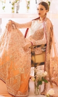 roheenaz-sawariya-chiffon-2023-26