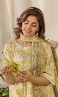 safwa-praha-lawn-v8-2024-8