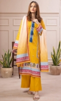 salina-mid-summer-cotton-2023-3