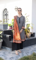 salina-lawn-vol-20-2025-1
