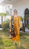 salina-lawn-vol-20-2025-11