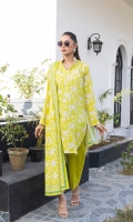 salina-lawn-vol-20-2025-4