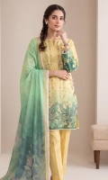 salitex-lawn-aug-2026-3