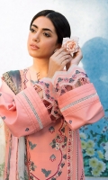 seran-dastaan-festive-lawn-2023-14