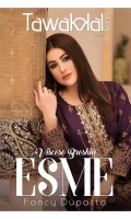 tawakkal-esme-viscose-broshia-banarsi-2021-1
